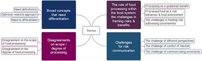 “Even We Are Confused”: A Thematic Analysis of Professionals' Perceptions of Processed Foods and Challenges for Communication